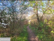 Działka rolna Warszawa Bielany, ul. Kalinowej Łąki. Zdjęcie 2