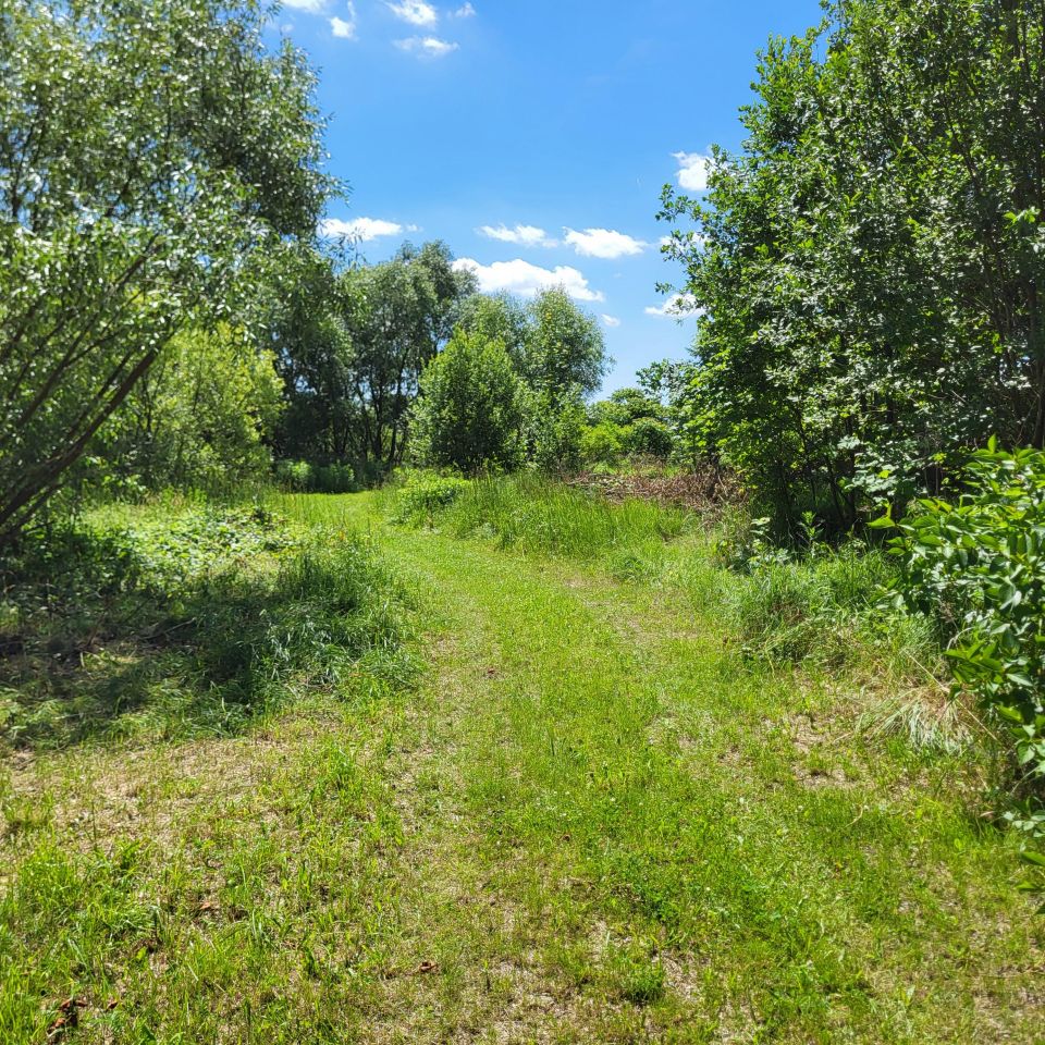 Działka inwestycyjna Kielce Dyminy-Wieś, ul. Sukowska. Zdjęcie 6