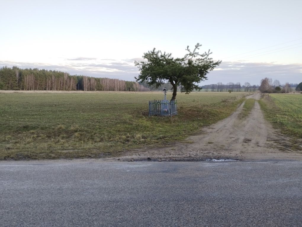 Działka rolna Folwarki Wielkie. Zdjęcie 2