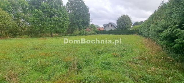 Działka Strumiany. Zdjęcie 5