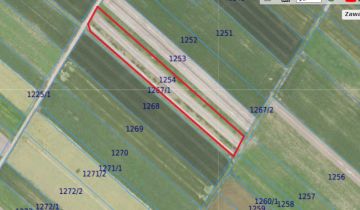 Działka rolno-budowlana Skołoszów, ul. Przemyska