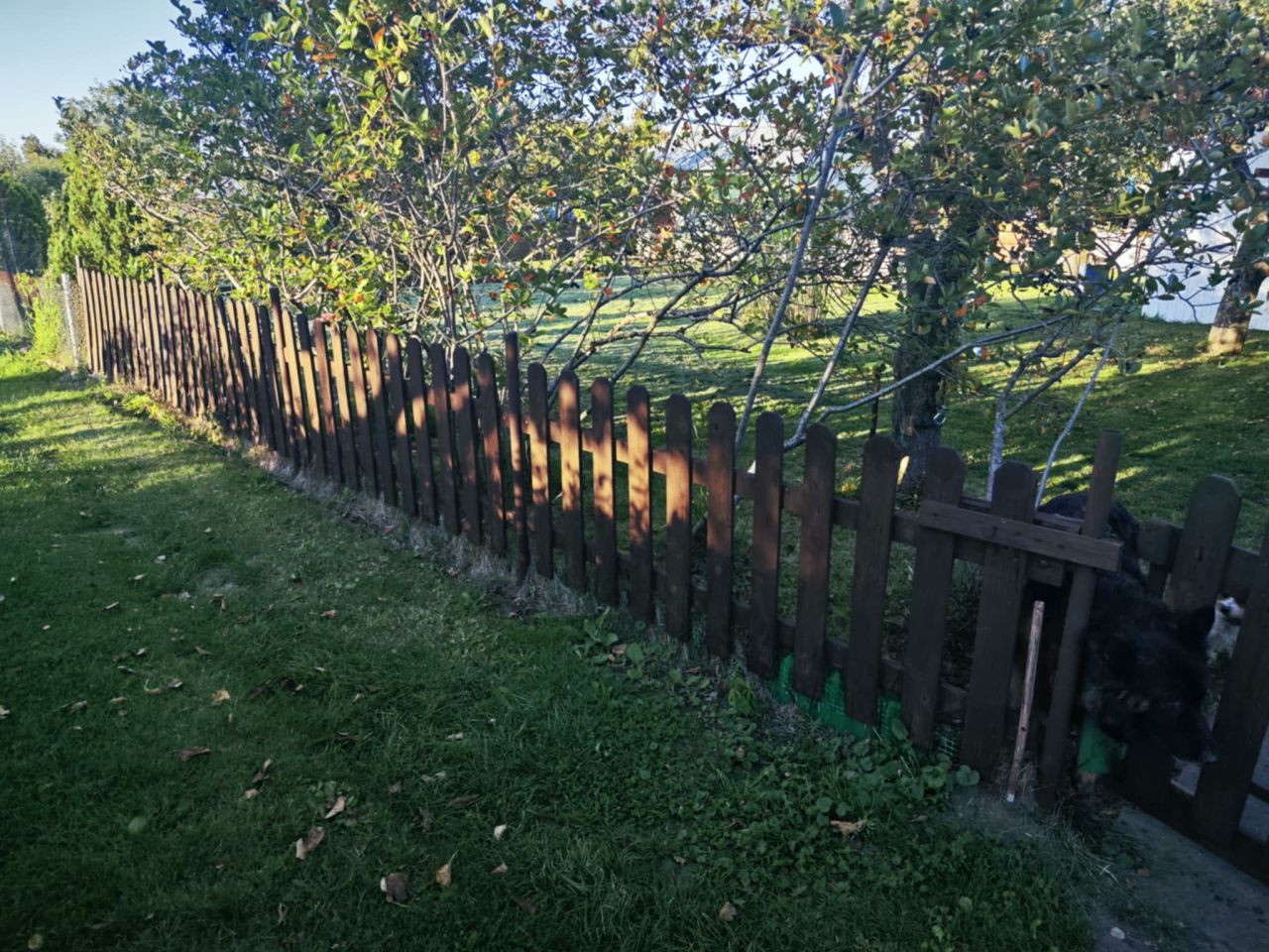 Działka rod Koszalin Jamno, ul. Aleja Europejska. Zdjęcie 10