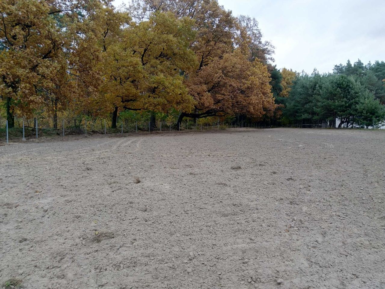 Działka budowlana Choinek. Zdjęcie 2