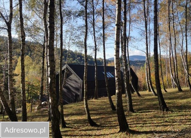dom wolnostojący, 6 pokoi Bielsko-Biała Straconka, ul. Cynkowa. Zdjęcie 1