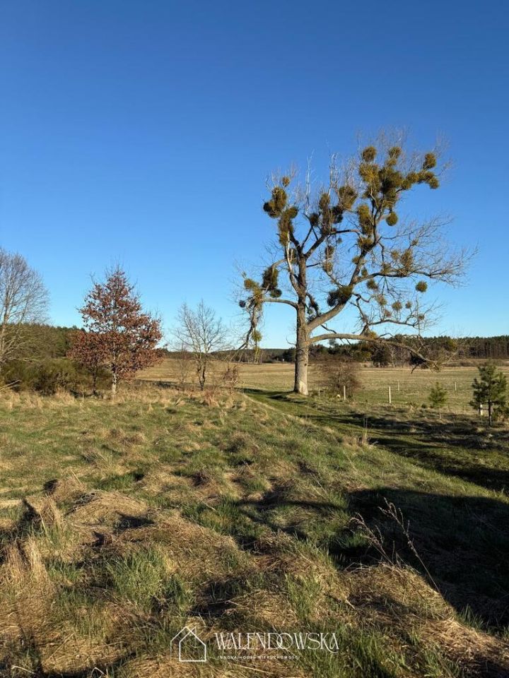 Działka rolna Gardna Wielka. Zdjęcie 5