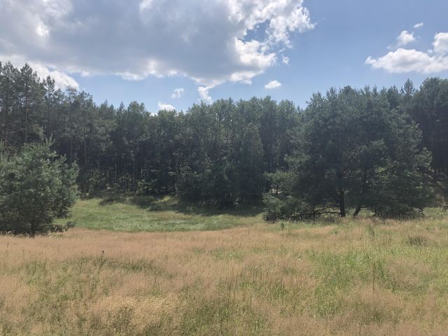 Działka rolno-budowlana Żelichowo. Zdjęcie 5