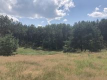 Działka rolno-budowlana Żelichowo. Zdjęcie 4