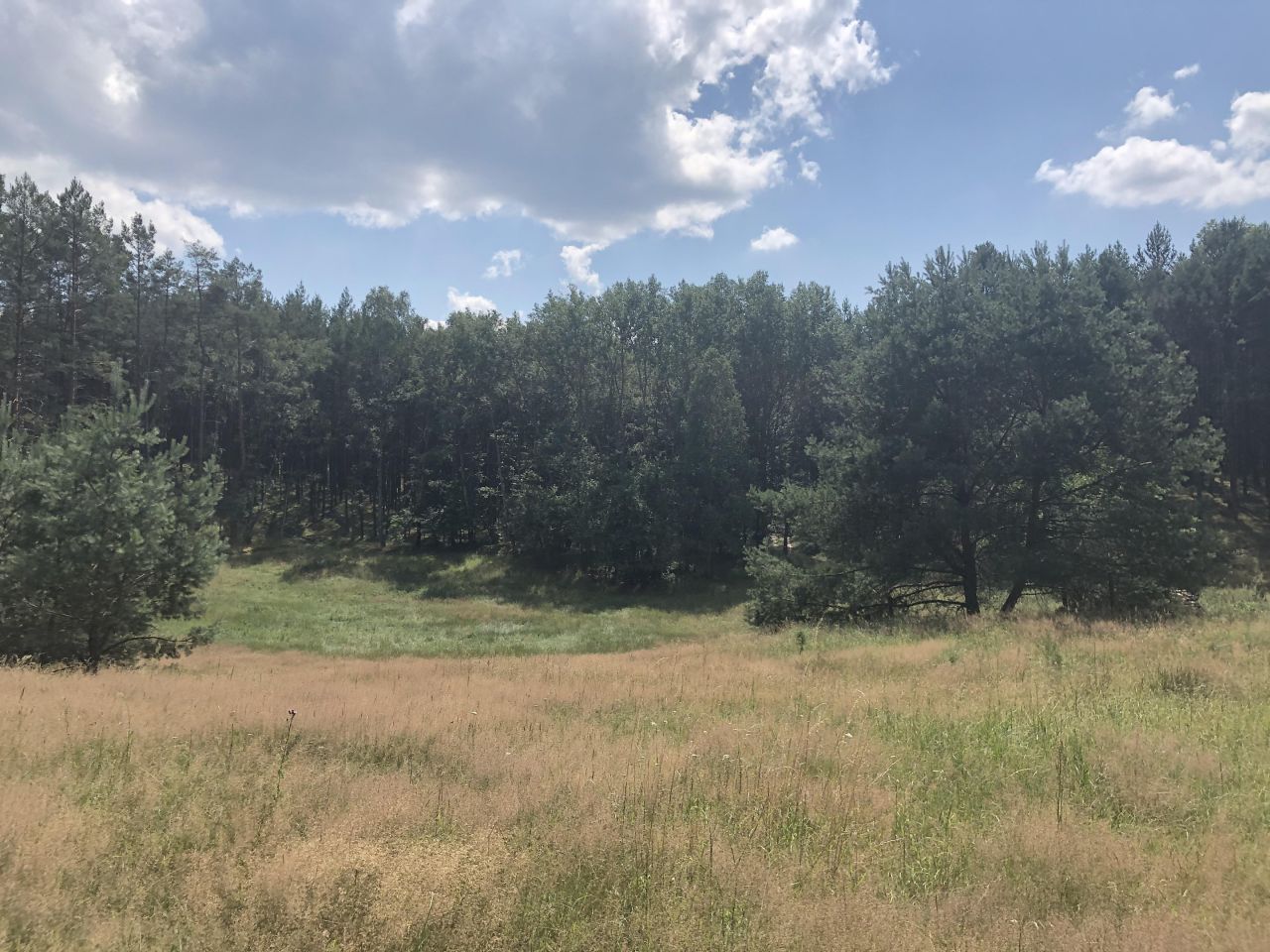 Działka rolno-budowlana Żelichowo. Zdjęcie 5