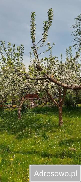 Działka rod Białystok Dojlidy, ul. płk. Czesława Hake. Zdjęcie 10