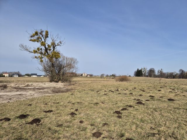 Działka rolna Życzyn. Zdjęcie 1