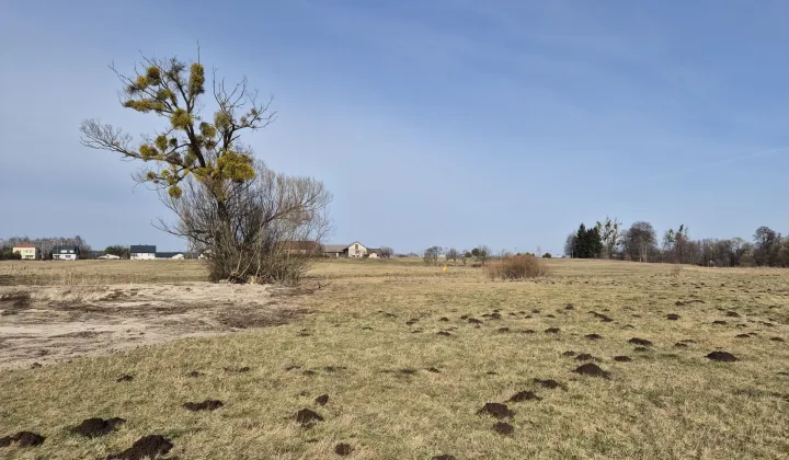 Działka rolna Życzyn