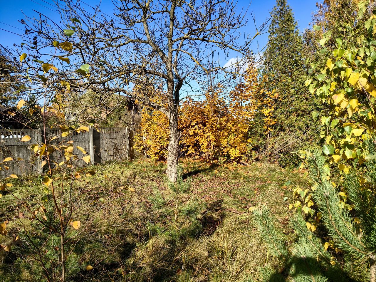 Działka budowlana Żakowice, ul. Piotrkowska. Zdjęcie 9
