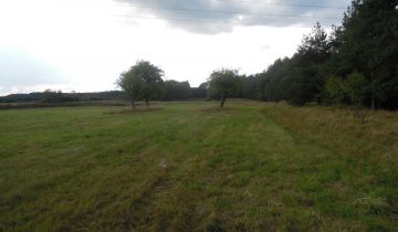 Działka rolna Ściechów