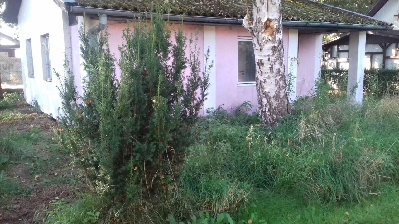 dom letniskowy, 2 pokoje Morzyczyn, ul. Szczecińska. Zdjęcie 7