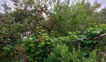 Działka rod Wrocław Krzyki