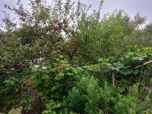 Działka rod Wrocław Krzyki