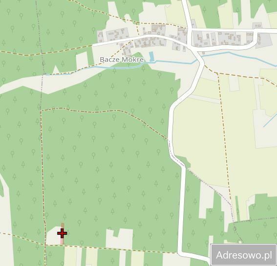 Działka leśna Pstrągi-Gniewoty. Zdjęcie 3