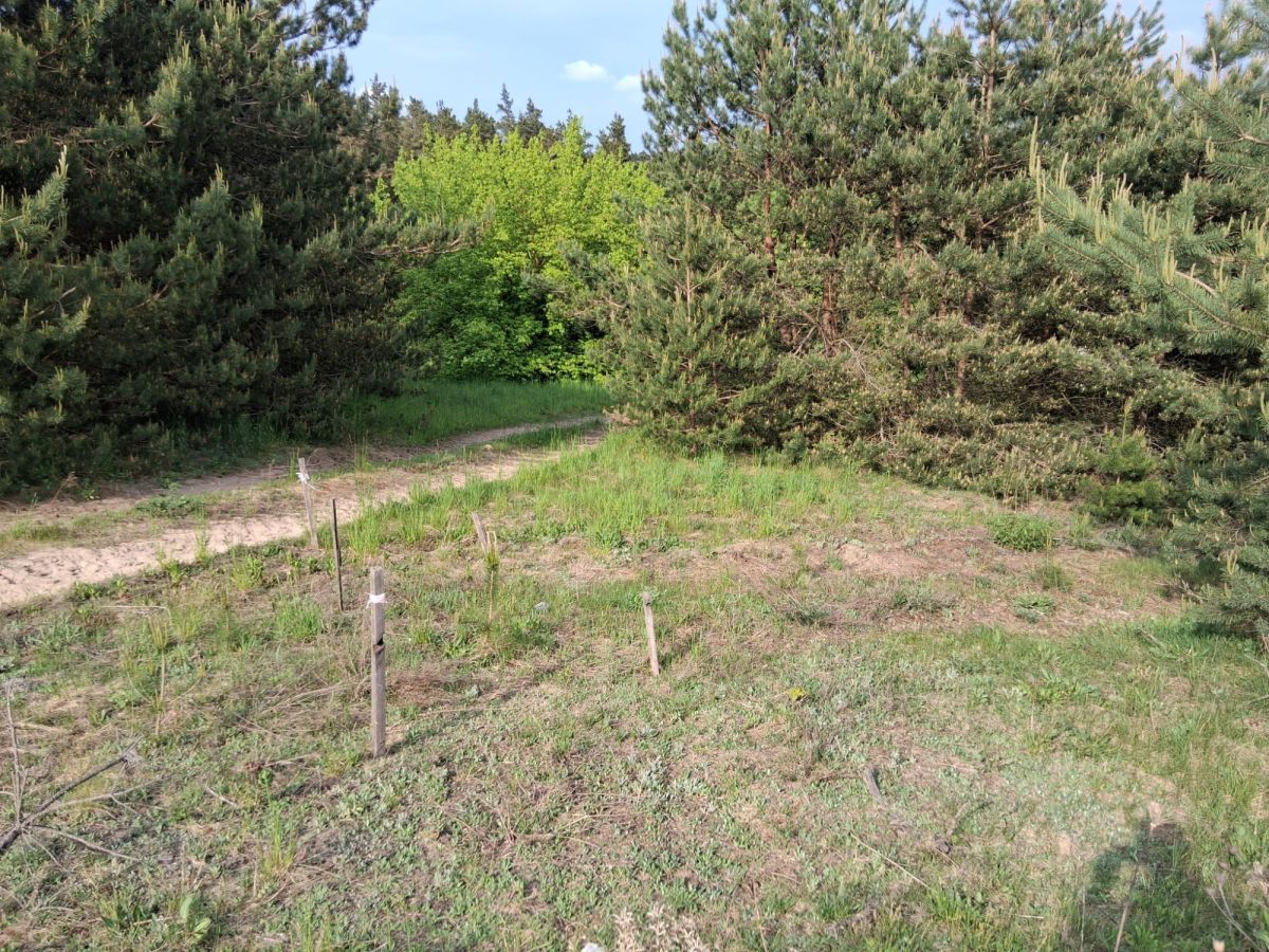 Działka budowlana Lidzbark, ul. Stefana Batorego. Zdjęcie 20