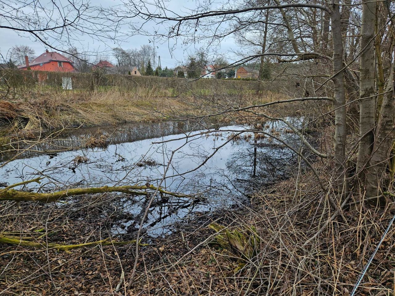 Działka rolna Muszkowo. Zdjęcie 4