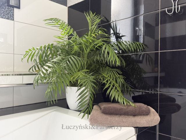 dom wolnostojący, 5 pokoi Lubawka. Zdjęcie 22