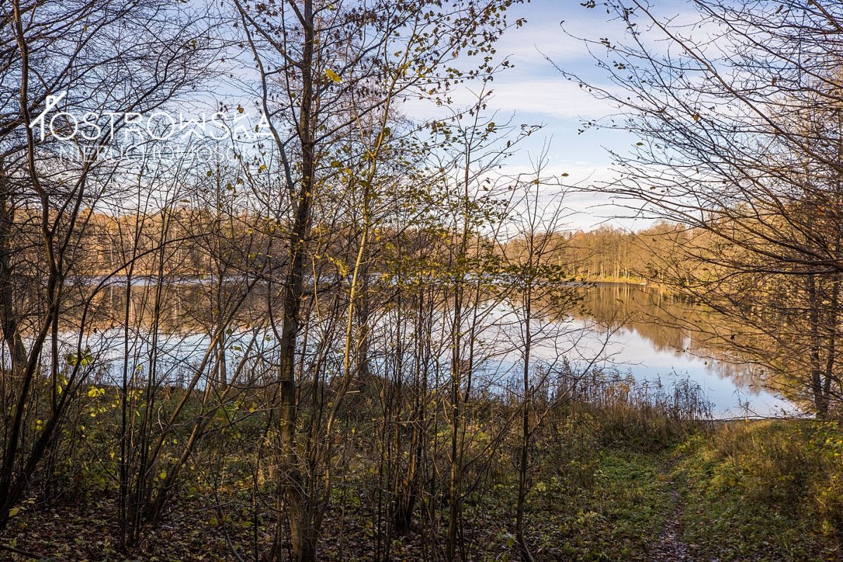 dom wolnostojący Lasowiec. Zdjęcie 24