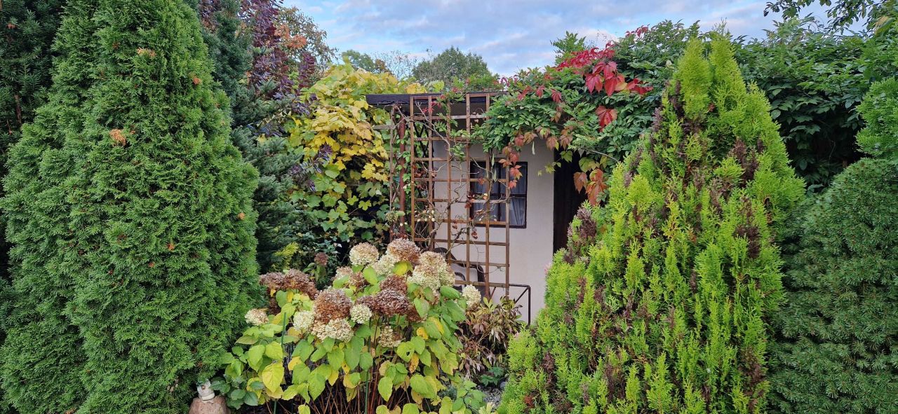 Działka rod Bolesławiec, ul. Piastów. Zdjęcie 4