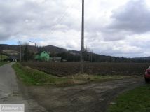 Działka rolna Święcko. Zdjęcie 2