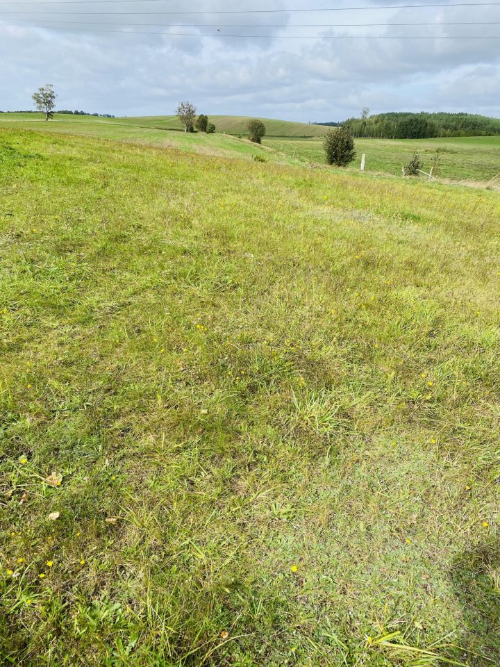 Działka rolna Dalewo. Zdjęcie 4