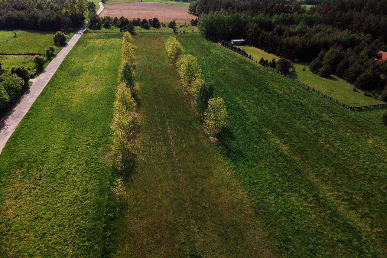 Dzia ka Cierzpi ty Bez Po rednika 4890 M2 375 000 Z Dzia ka Cierzpi ty Bez Po rednika 4890 M2 375 000 Z