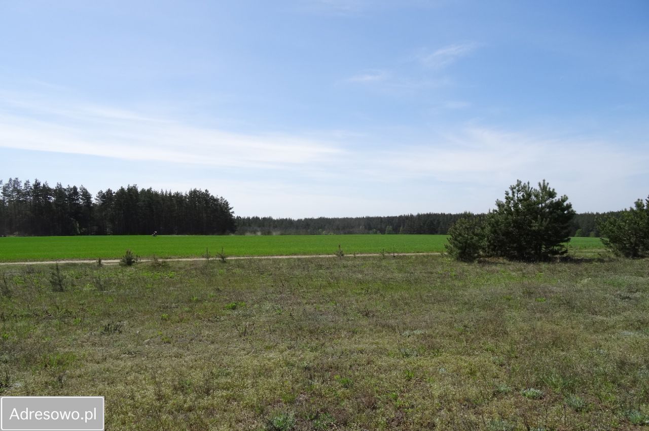 Działka rekreacyjna Lipnica. Zdjęcie 4