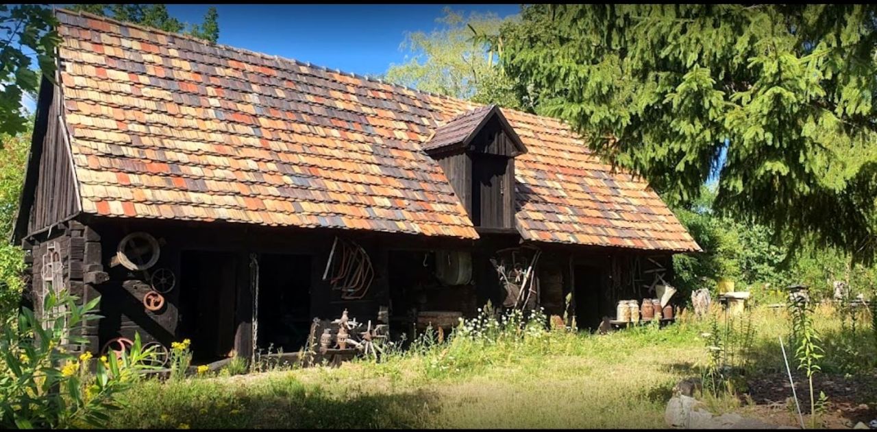 Lokal Buczyny. Zdjęcie 11