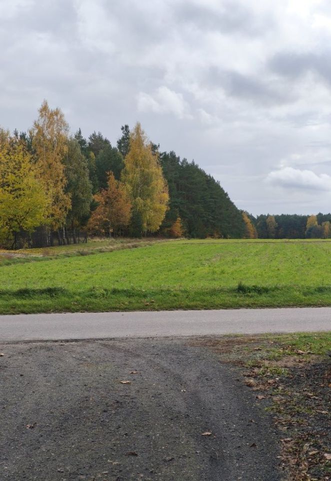 Działka budowlana Dziewuliny