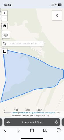 Działka leśna Kąty-Wielgi. Zdjęcie 1