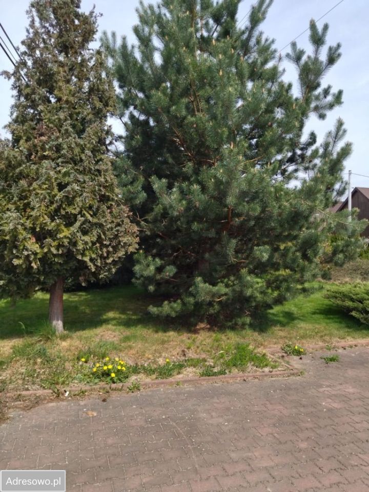 Hotel/pensjonat Mysłakowice. Zdjęcie 9