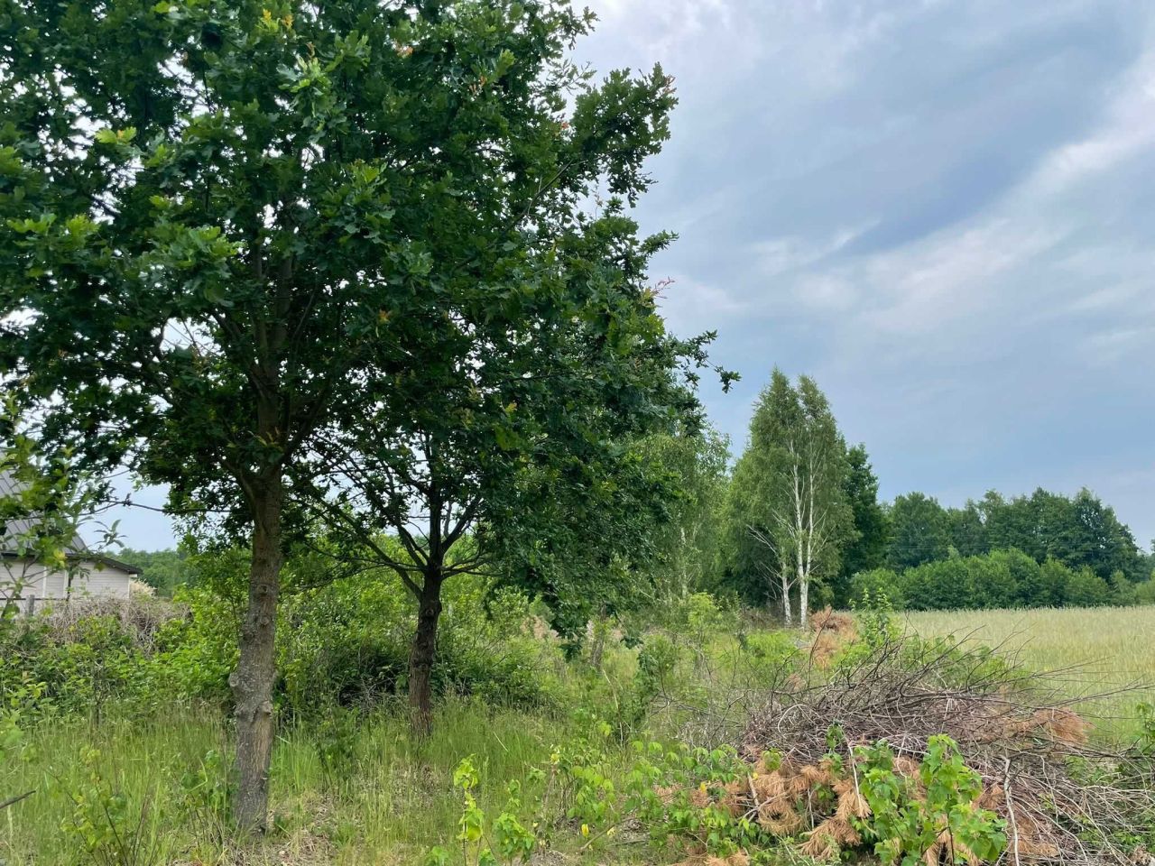 Działka budowlana Siekierka Stara. Zdjęcie 4