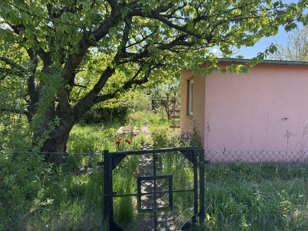 Działka rod Konin, ul. Świętojańska. Zdjęcie 8