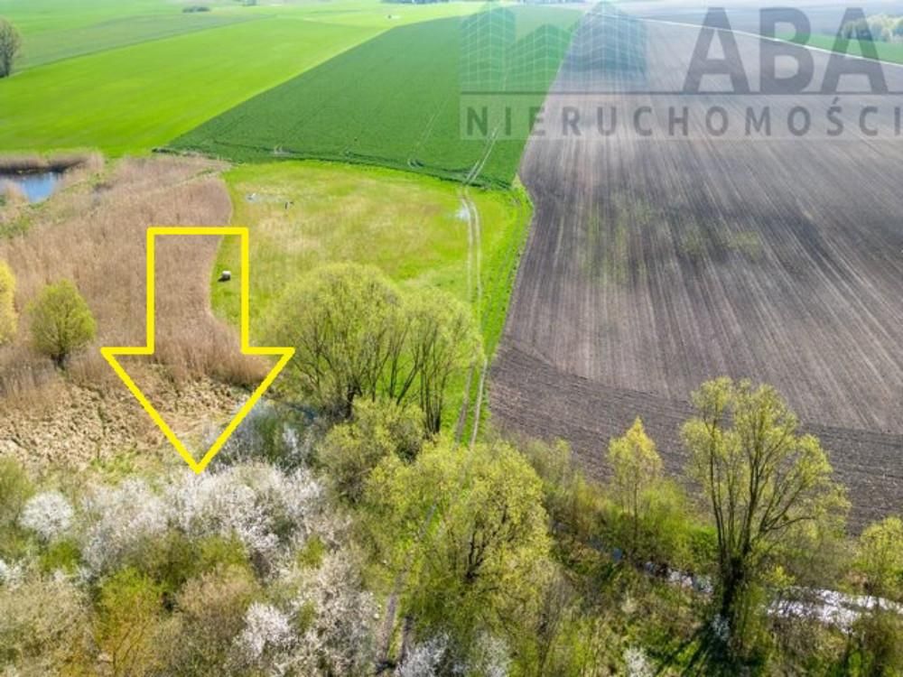 Działka rolna Turostówko. Zdjęcie 2