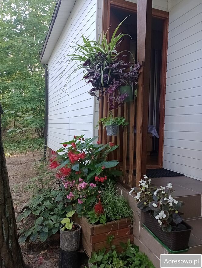 dom letniskowy Soczewka. Zdjęcie 10