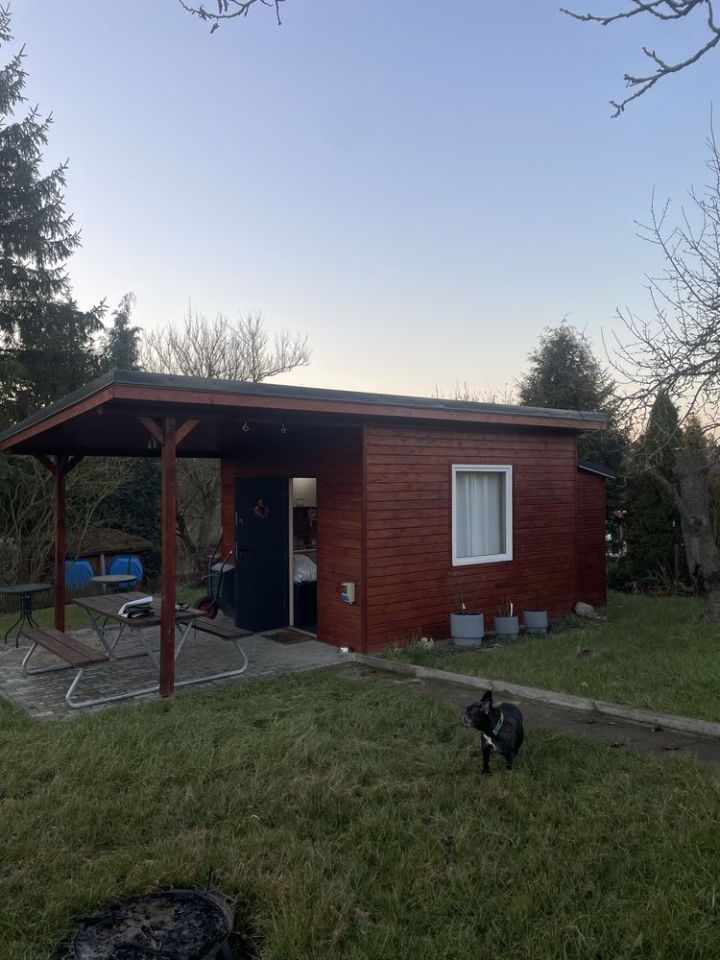 Działka rod Ustowo. Zdjęcie 6