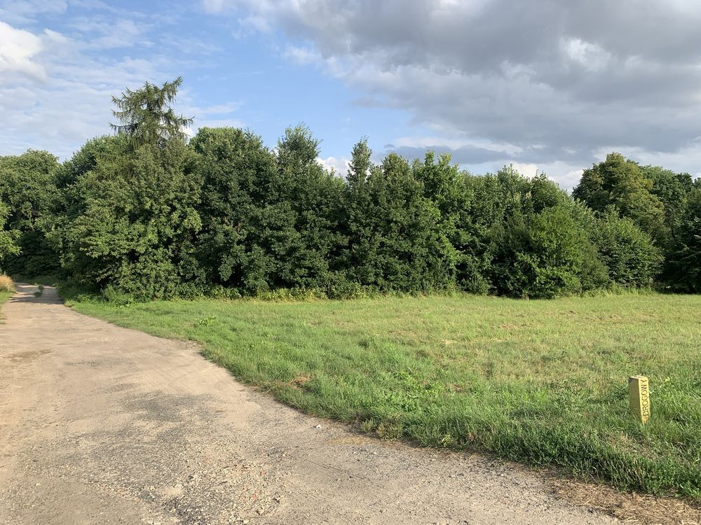 Działka rolno-budowlana Sarnów. Zdjęcie 2