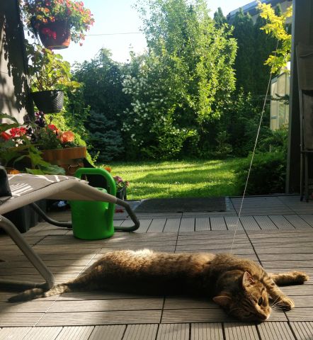 bliźniak, 3 pokoje Pruszków Gąsin, ul. Konwaliowa. Zdjęcie 7