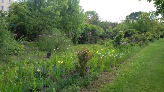Działka rekreacyjna Chełm Centrum, ul. Jedność. Zdjęcie 1