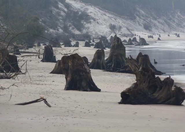 Działka budowlana Smołdziński Las. Zdjęcie 7