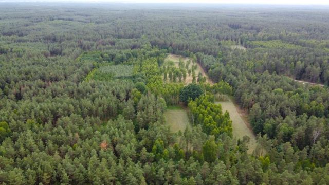 Działka rolna Dzierniakowo. Zdjęcie 10