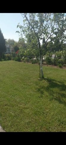 Działka rod Kędzierzyn-Koźle Kędzierzyn, ul. Ogrodowa. Zdjęcie 1