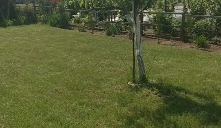 Działka rod Kędzierzyn-Koźle, ul. Ogrodowa