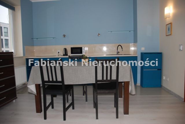 Mieszkanie 1-pokojowe Poznań Wilda. Zdjęcie 4