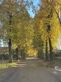 dom wolnostojący Złocieniec. Zdjęcie 4