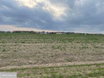 Działka budowlana Santok. Zdjęcie 4