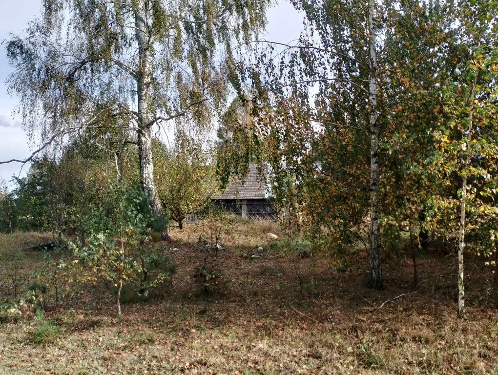 Działka siedliskowa Poniatowicze. Zdjęcie 4